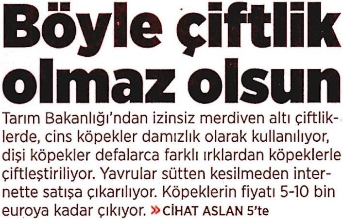 Böyle Çitlik Olmaz Olsun - Milliyet Gazetesi - Ekim 2020